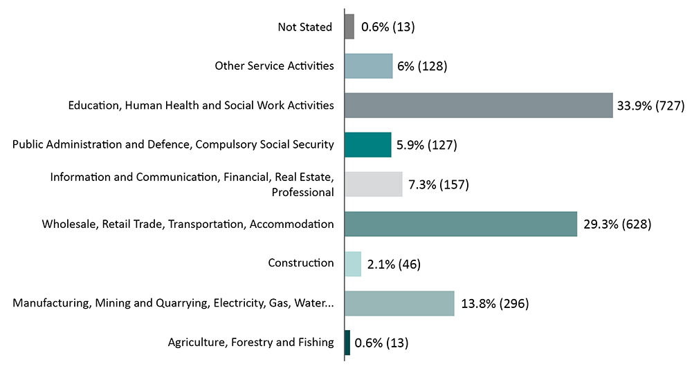 Graph - employment by category for the Athy settlement 2016